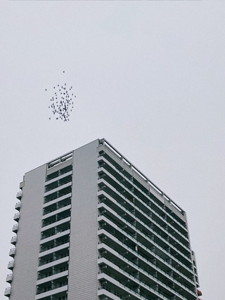 09.01.22