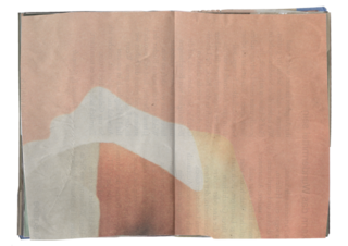 (obs.20250313.3)