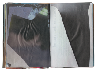 (obs.20250611.1)